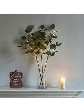 Lighted Eucalyptus Branches 24IN 36 LED Timer Battery Warm White Fairy Lights